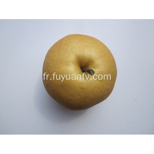 Poire Singao fraîche de la province du Shandong